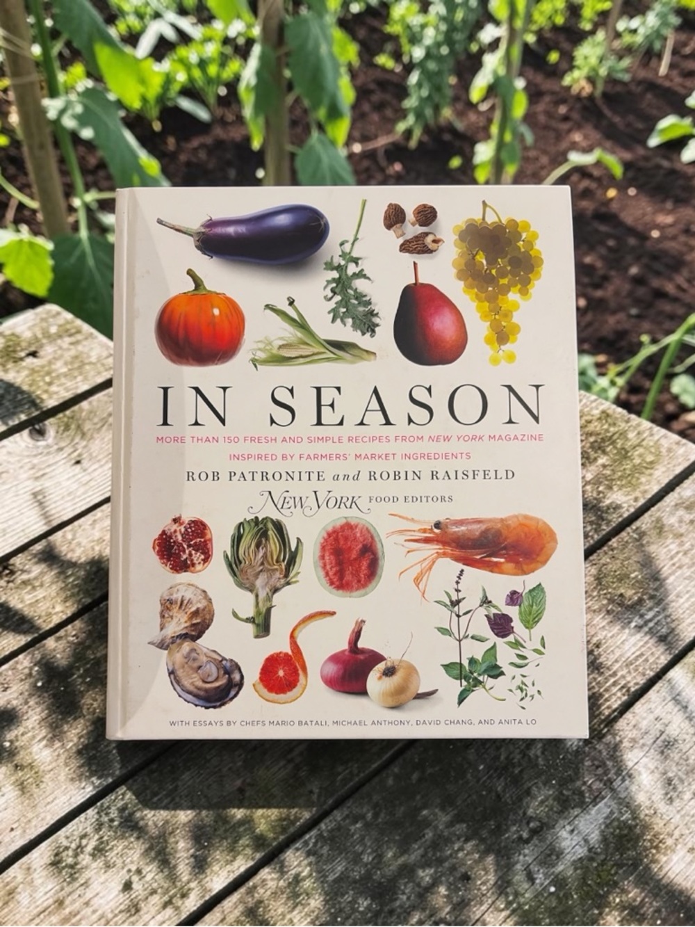 In Season Cookbook - hard cover